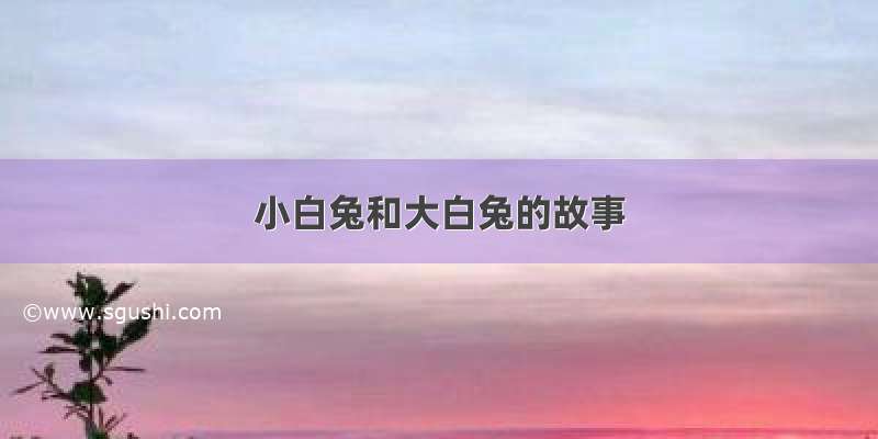 小白兔和大白兔的故事