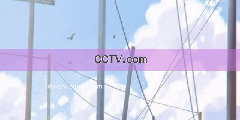 CCTV.com