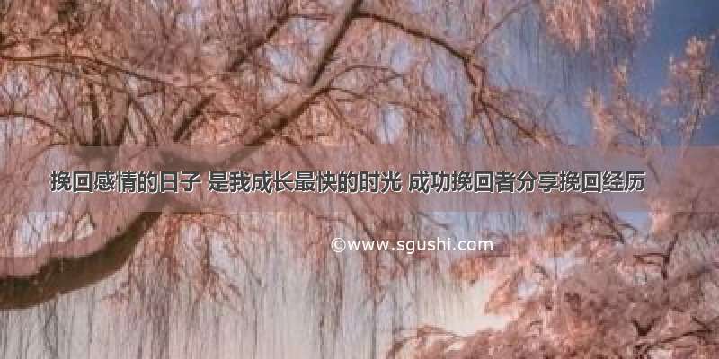 挽回感情的日子 是我成长最快的时光 成功挽回者分享挽回经历