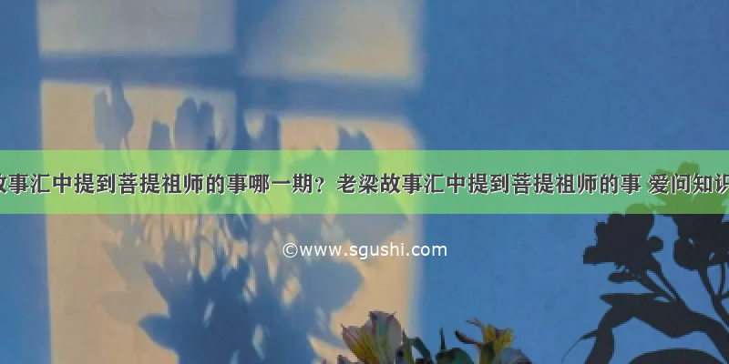 老梁故事汇中提到菩提祖师的事哪一期？老梁故事汇中提到菩提祖师的事 爱问知识人