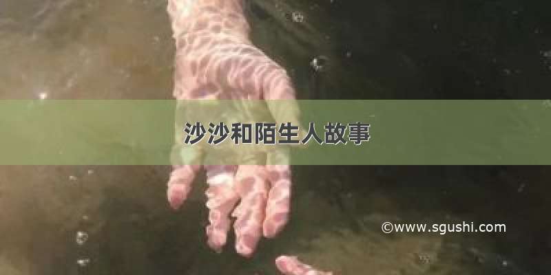 沙沙和陌生人故事