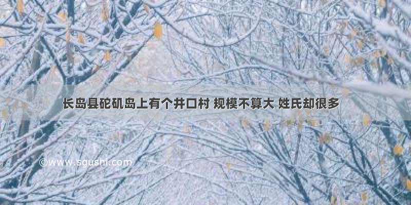 长岛县砣矶岛上有个井口村 规模不算大 姓氏却很多