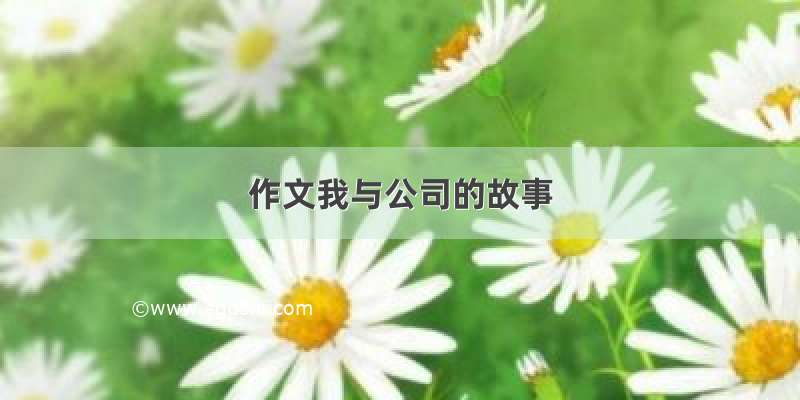 作文我与公司的故事