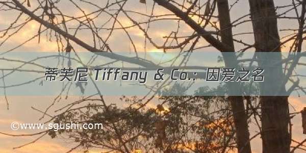 蒂芙尼 Tiffany & Co.：因爱之名