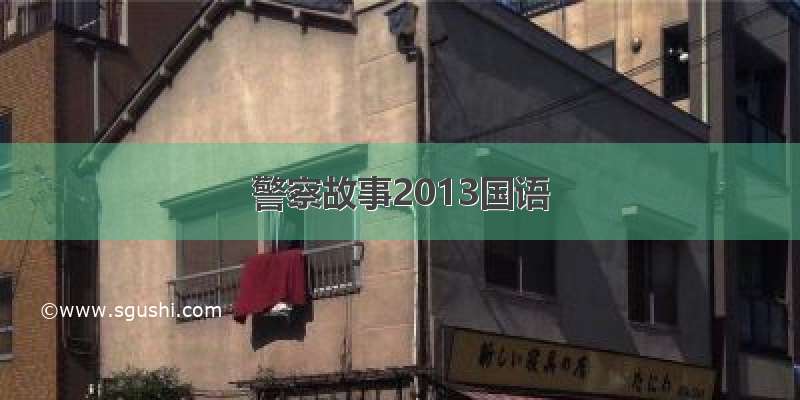 警察故事2013国语