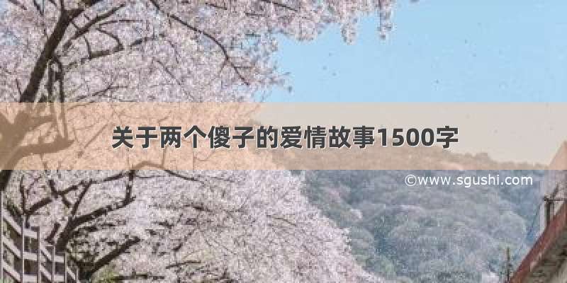 关于两个傻子的爱情故事1500字