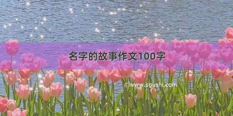 名字的故事作文100字