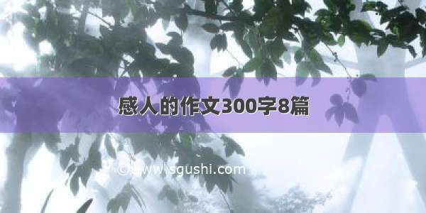 感人的作文300字8篇