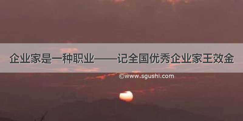 企业家是一种职业——记全国优秀企业家王效金