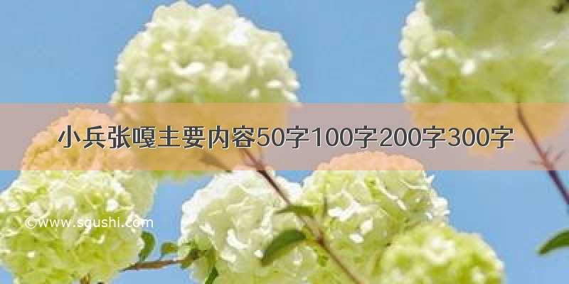 小兵张嘎主要内容50字100字200字300字