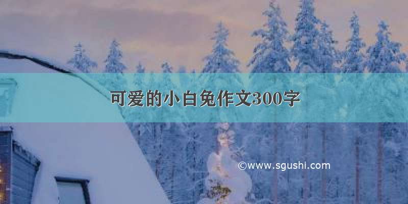 可爱的小白兔作文300字