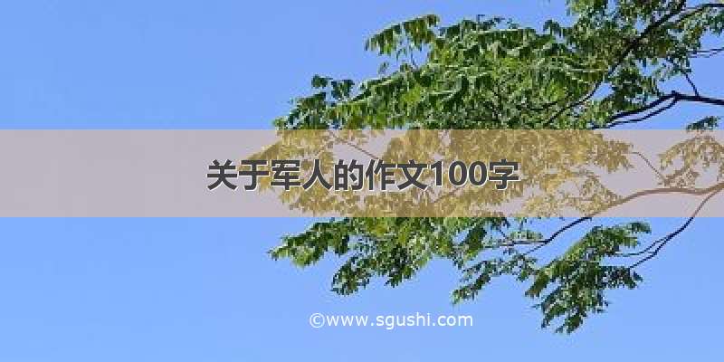 关于军人的作文100字