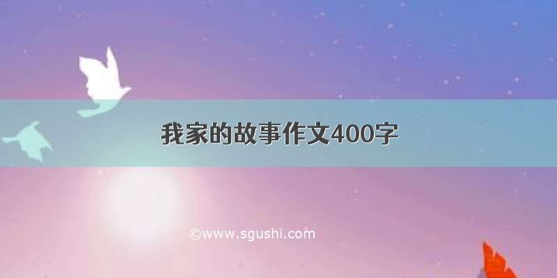 我家的故事作文400字