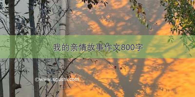 我的亲情故事作文800字