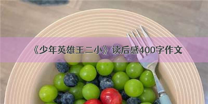 《少年英雄王二小》读后感400字作文