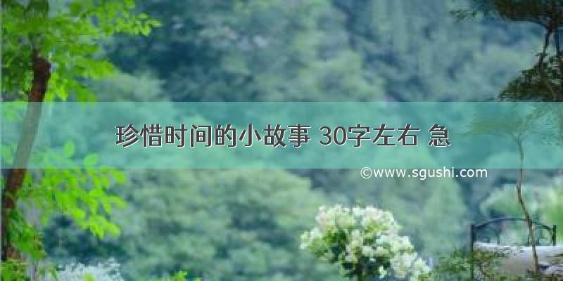 珍惜时间的小故事 30字左右 急