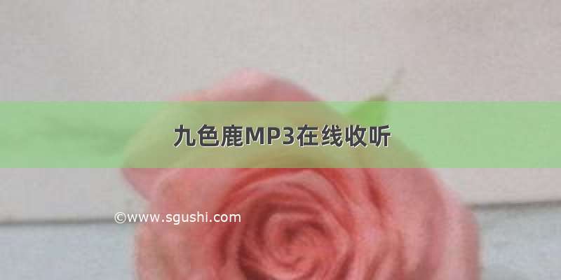 九色鹿MP3在线收听