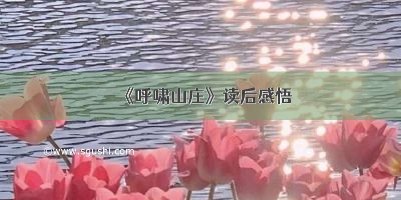 《呼啸山庄》读后感悟