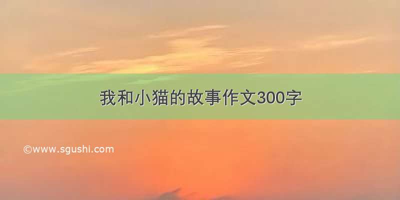 我和小猫的故事作文300字