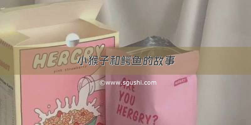 小猴子和鳄鱼的故事