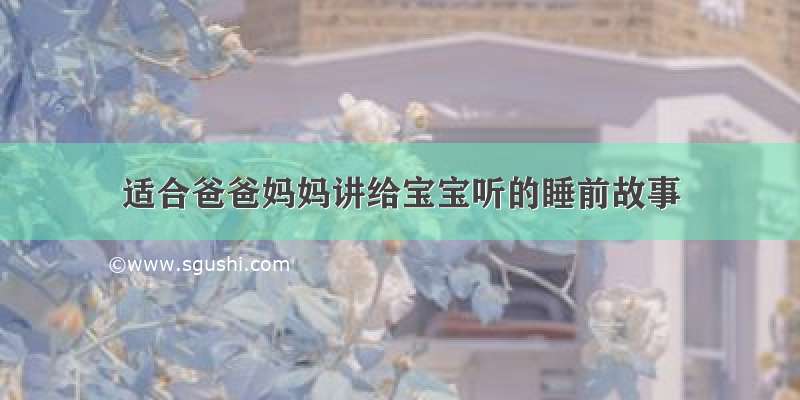 适合爸爸妈妈讲给宝宝听的睡前故事