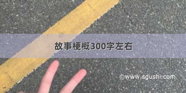 故事梗概300字左右