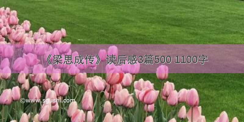 《梁思成传》读后感3篇500 1100字