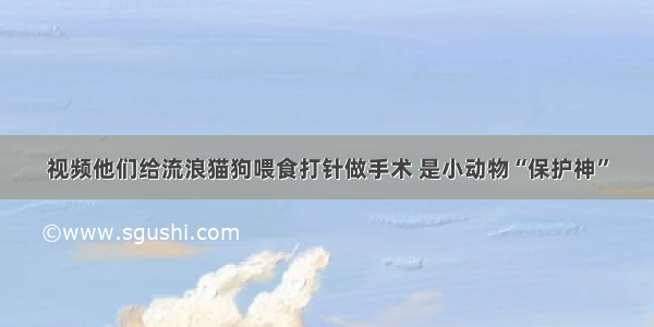 视频他们给流浪猫狗喂食打针做手术 是小动物“保护神”