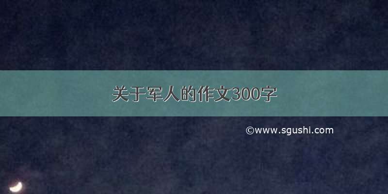 关于军人的作文300字