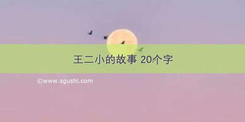 王二小的故事 20个字