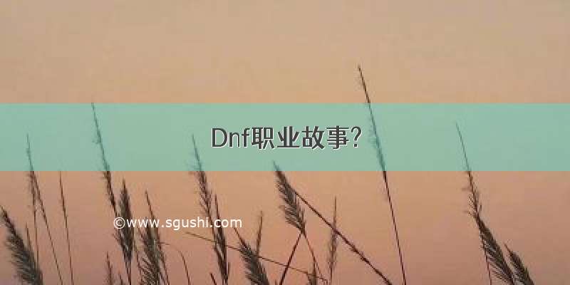 Dnf职业故事?