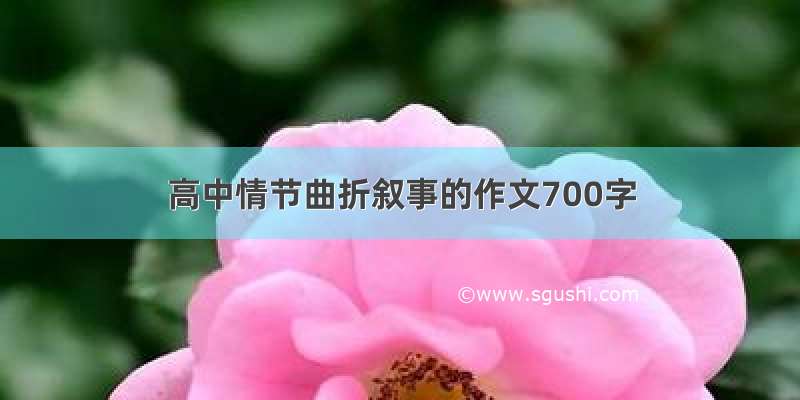 高中情节曲折叙事的作文700字