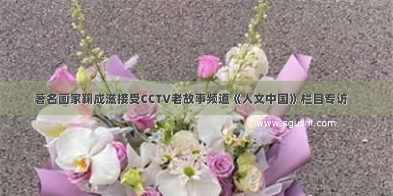 著名画家鞠成滋接受CCTV老故事频道《人文中国》栏目专访