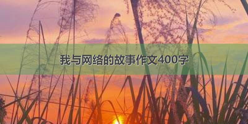 我与网络的故事作文400字