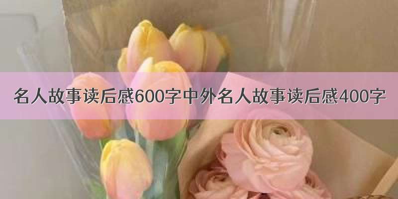 名人故事读后感600字中外名人故事读后感400字