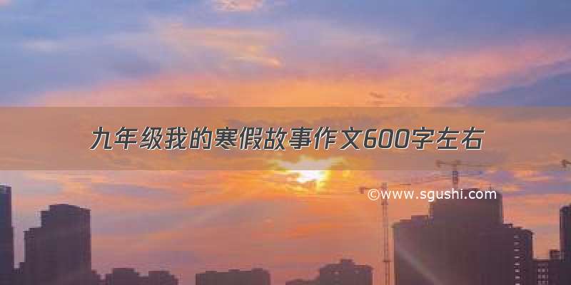 九年级我的寒假故事作文600字左右