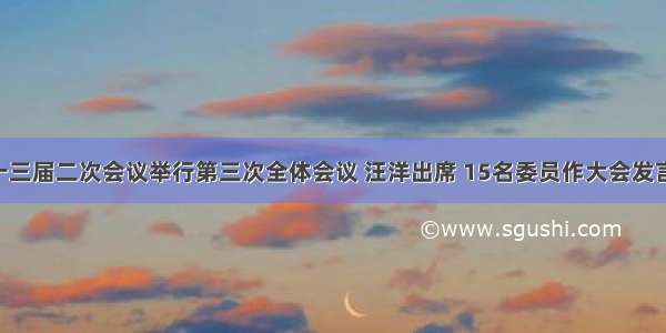 全国政协十三届二次会议举行第三次全体会议 汪洋出席 15名委员作大会发言 文艺工作