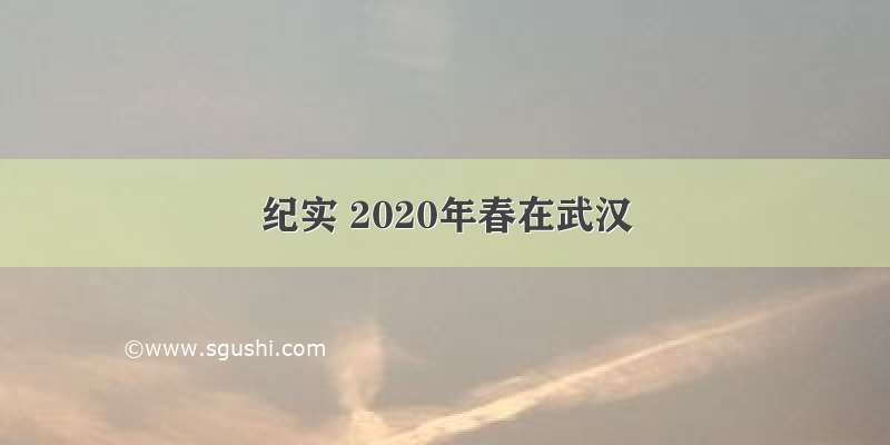 纪实 2020年春在武汉