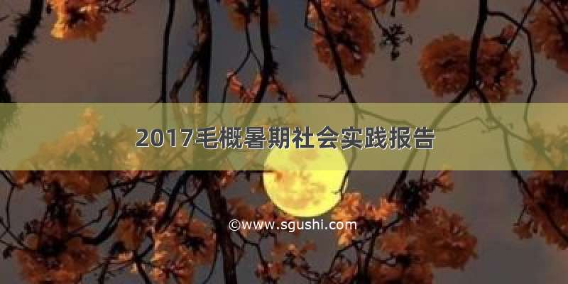 2017毛概暑期社会实践报告