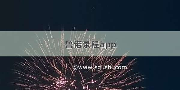 鲁诺录程app