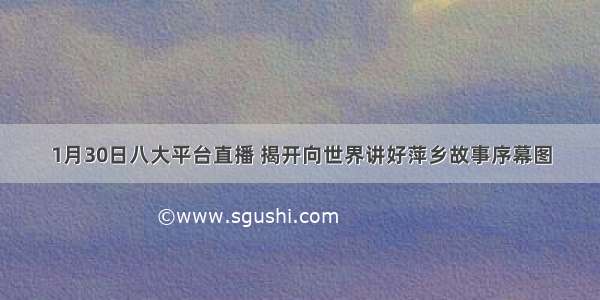 1月30日八大平台直播 揭开向世界讲好萍乡故事序幕图