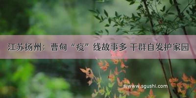 江苏扬州：曹甸“疫”线故事多 干群自发护家园