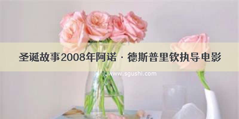 圣诞故事2008年阿诺·德斯普里钦执导电影