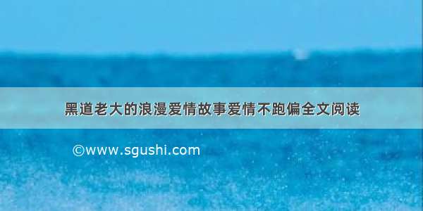 黑道老大的浪漫爱情故事爱情不跑偏全文阅读