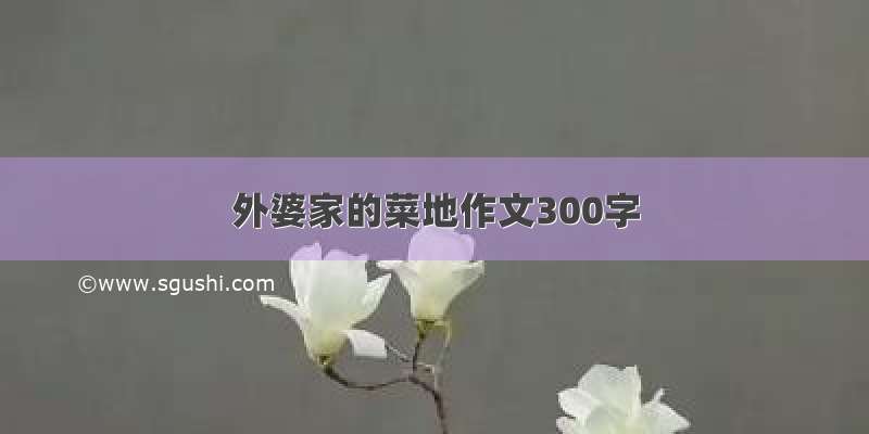 外婆家的菜地作文300字