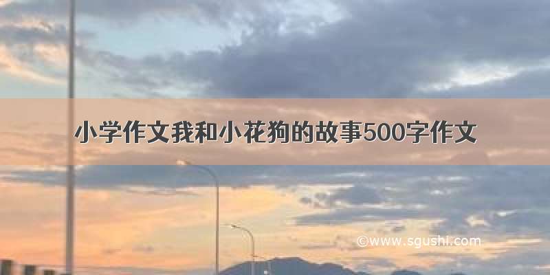 小学作文我和小花狗的故事500字作文