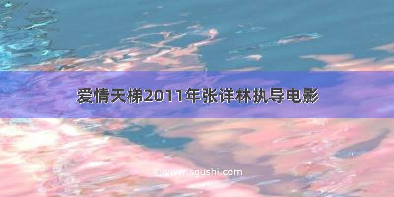 爱情天梯2011年张详林执导电影