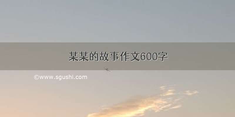 某某的故事作文600字