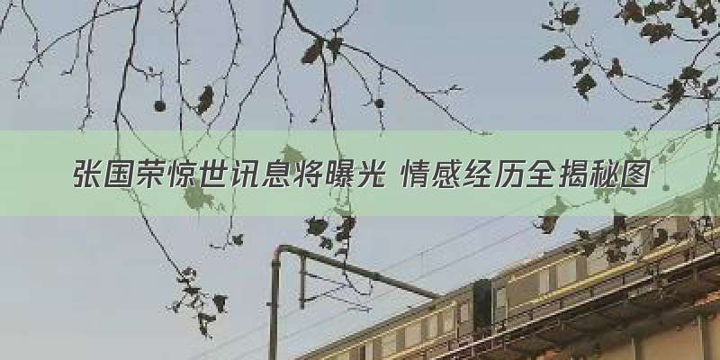 张国荣惊世讯息将曝光 情感经历全揭秘图