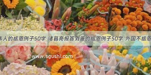 求中国伟人的感恩例子50字 诸葛亮报答刘备的感恩例子50字 外国不感恩的例子。